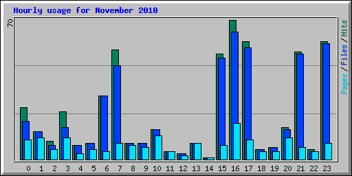 Hourly usage for November 2010