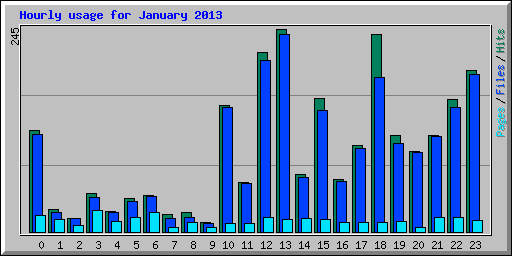 Hourly usage for January 2013