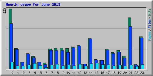 Hourly usage for June 2013