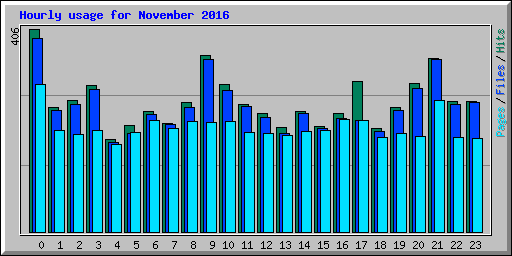 Hourly usage for November 2016