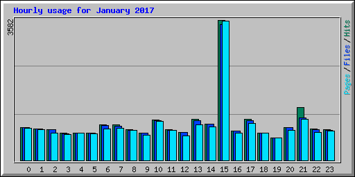 Hourly usage for January 2017